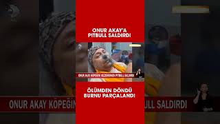 Onur Akayın Pitbull Saldırısında Burnu Koptu