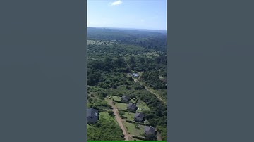 On a farm somewhere in the Kenyan highlands #farms #kenya #explore #video #shorts