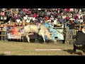 ¡ELEGANTES! LIRIO DE ORO vs CHEROKEE DE IRATZIO RANCHO EL FARALLON TOCUARO 2016