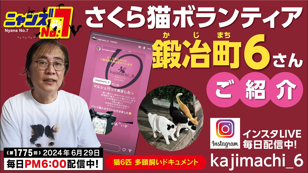 Episode 1775》 Introducing Sakura Cat Volunteer, Kajimachi 6 - YouTube