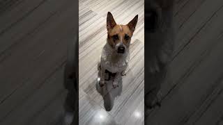IMG 1113