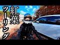【全身電熱】紅葉吹き荒れる寒さでも快適ツーリングなソロ女 【バイク】
