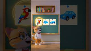 Professor Paws
