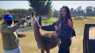 فلوج يوم كامل في افريكا بارك الغابه || Africa park vlog