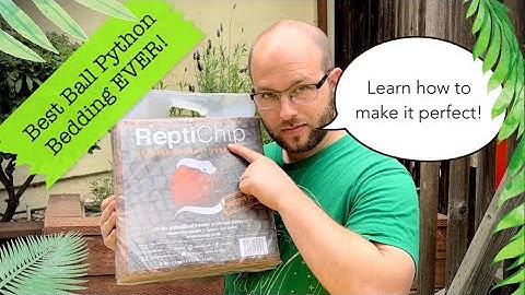 The BEST ball python bedding EVER! Tutorial on how to make it perfect! 🤗