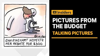 How to make and take pictures of a federal budget | Insiders | ABC News