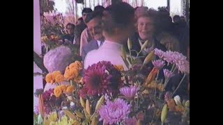 1984 Hoorn De Bloemenstolp - Opening1984 Hoorn De Bloemenstolp - Opening