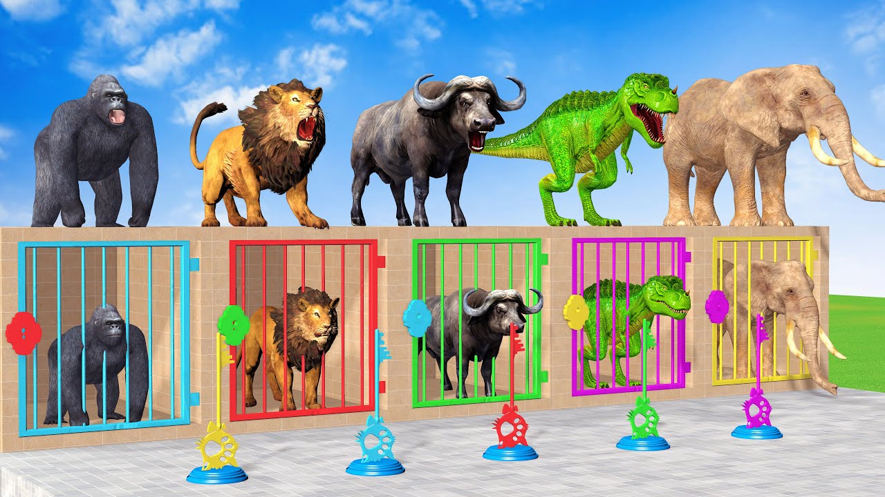 Long Slide Game with Cow Elephant Gorilla Hippopotamus Tiger 3d Animal Game Funny 3d Animals