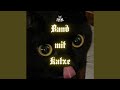 Band Mit Katze