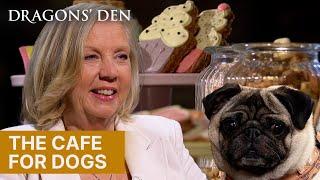 Social Events For Dogs And Their Owners | Dragons' Den