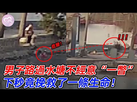 男子路過水塘，不經意的“一瞥”，竟挽救了一條生命，正能量舉動讓人點贊！#愛在人間 #暖心 #暖心故事 #正能量 #淚目 #生活 #溫暖  #感動 #暖心時刻
