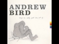 Andrew Bird - So Much Wine, Merry Christmas