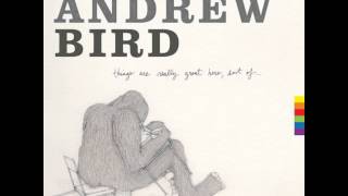 Video thumbnail of "Andrew Bird - So Much Wine, Merry Christmas"