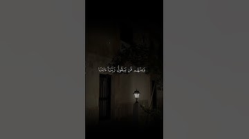 ﴿فَمِنَ ٱلنَّاسِ مَن یَقُولُ رَبَّنَاۤ﴾  | القارئ محمد صديق المنشاوي #قرآن #اكسبلور | سورة البقرة.