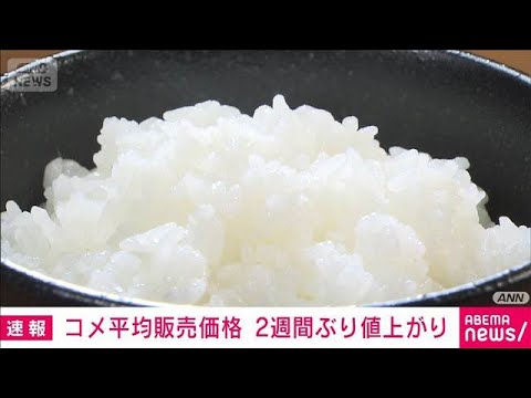 コメ販売価格2週ぶり値上がり　4000円台の高値続く(2026年2月6日)
