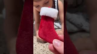 Don’t forget your miniature Elf on the Shelf! #worldssmallest #miniaturetoys #toyreview