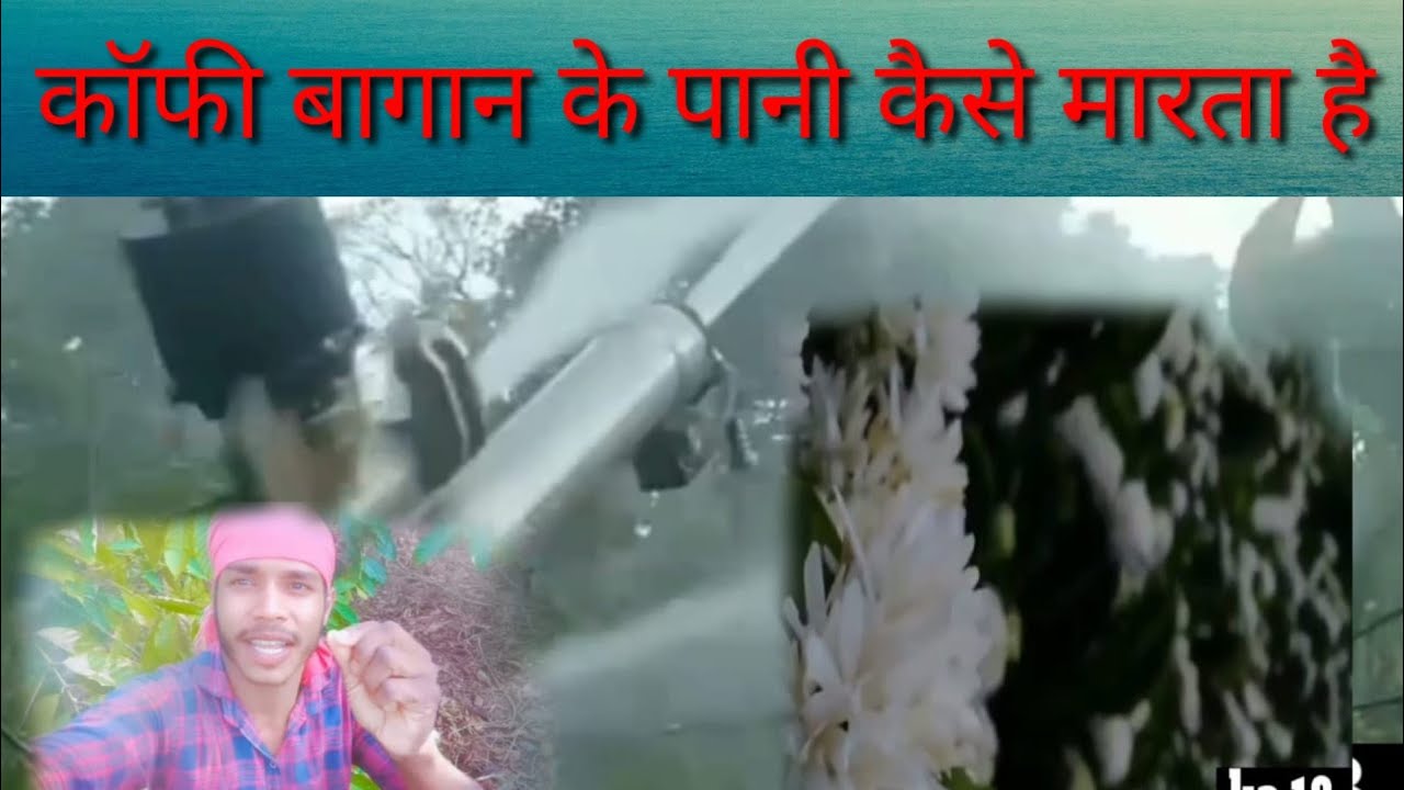Coffee Bagan per Pani Kaise Mara jata hai karnataka chikmagalur 