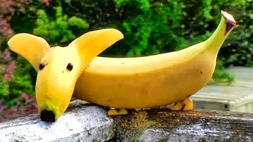 CÁCH LÀM CON CHÓ BẰNG QUẢ CHUỐI ✔ Food Art Garnishing Made Easy - Fruit Carving