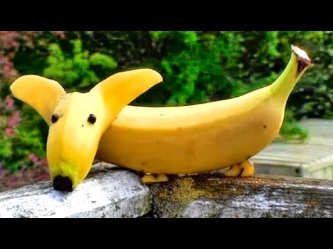 Video CÁCH LÀM CON CHÓ BẰNG QUẢ CHUỐI ✔ Food Art Garnishing... - youtube