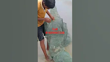 CHINA FISHING TRAP 11 M LONG NET SIZE 10 15 CHINA JAL CHINA DUARI JALL CALL 8801829097230 