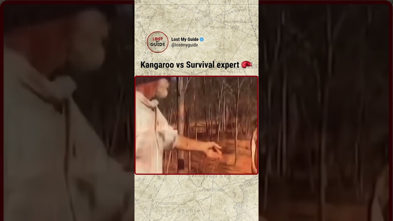 Kangaroo vs Survival Expert