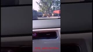 Misteri Gandhi Adam Trisana