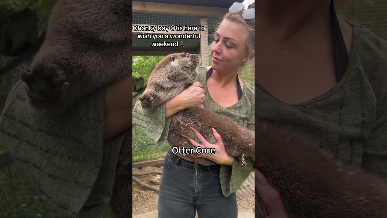 #otter