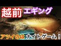 【エギング】釣りたいなら夜⁉︎今アツイのはナイトゲーム！