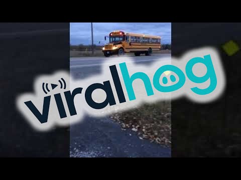 Cars Fail to Stop for School Bus with Red Lights Flashing || ViralHog