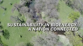 Sustainability in Bioenergy: A Nation Connected – Video Short