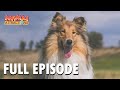 Animal Attractions | S1 E7 | Full Episode | FANGS