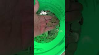 Weekend Coke  $$$