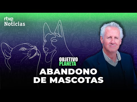 El refugio de Pedro Almodóvar en Canarias: una casa de «tradición moderna» rodeada de volcanes