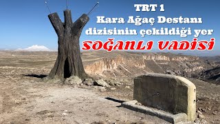TRT 1 Karaağaç Destanı dizisinin çekildiği yerdeki ağaç - Soğanlı Vadisi