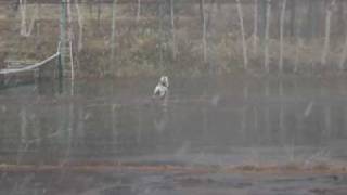 MAQ00510.MP4