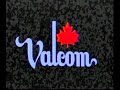 Valcom manufacturing group inc corporate