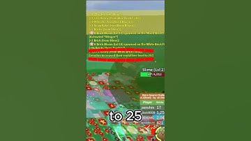 First level 25 Bee In Bee Swarm