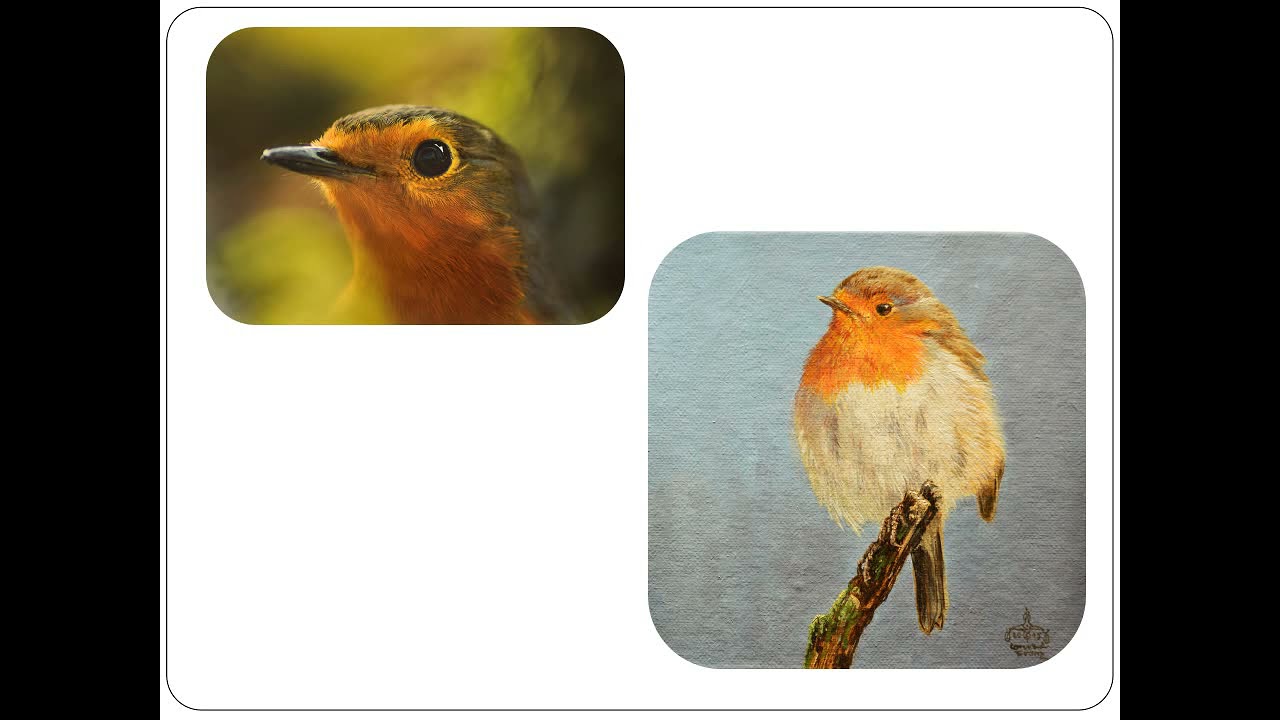 Птицы Конрада Франца (Vögel von Conrad Franz)