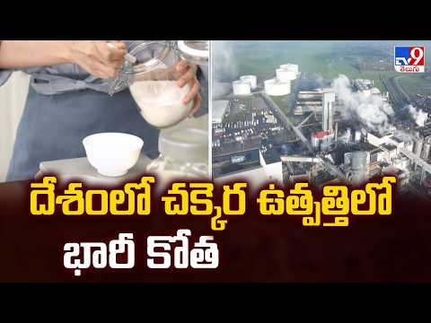 Sugar Production Shock in India : దేశంలో చక్కెర ఉత్పత్తిలో భారీ కోత - TV9 - TV9