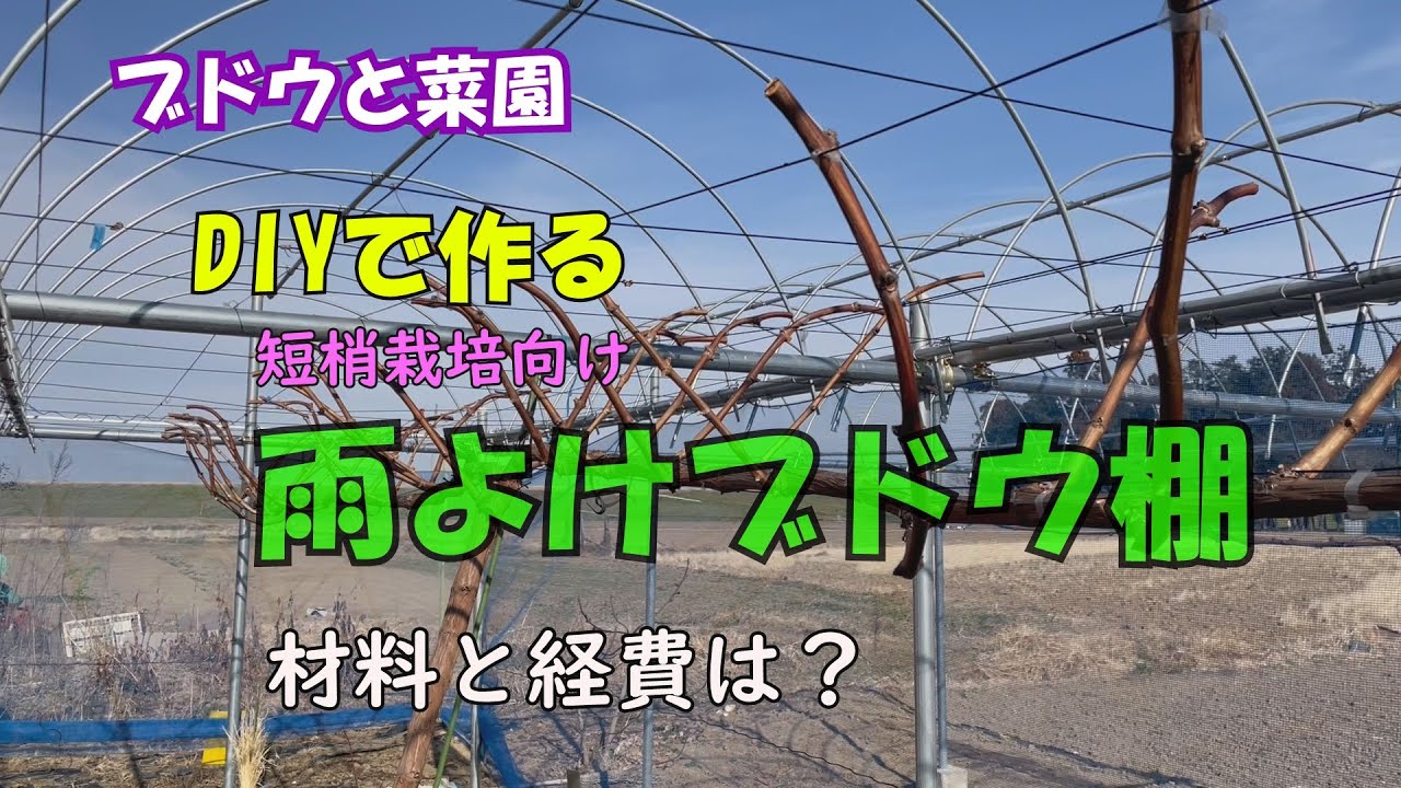 DIYで作る雨よけブドウ棚