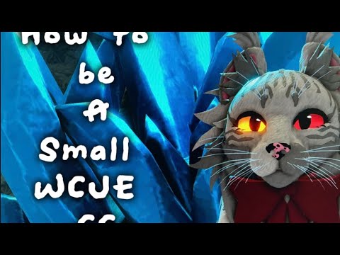 How to start a WCUE channel.