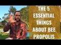 The 5 things you need to know about Bee Propolis