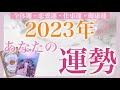 【2023年の運勢】最幸の一年をズバリ大予想❤️全選択肢で驚きの展開と結果が‼️個人鑑定級深掘りリーディング［ルノルマンタロットオラクルカード］