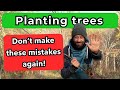 3 Mistakes to Avoid When Planting Trees—Stop Doing This!