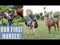 BRINGING MY FIRST HORSE HOME!! || Bringing the horses home + riding them for the first time!!