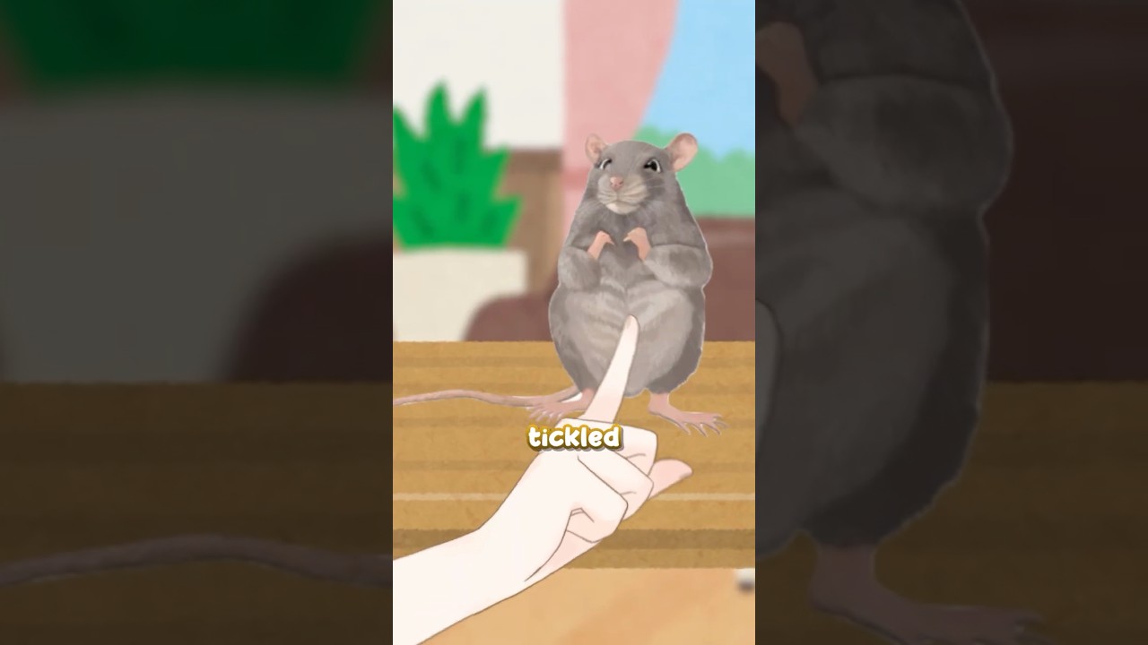 Rats laugh JUST LIKE US!! SERIOUSLY!