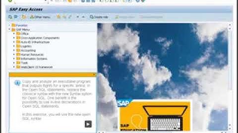 SAP ABAP   BC402 Advanced ABAP part №1