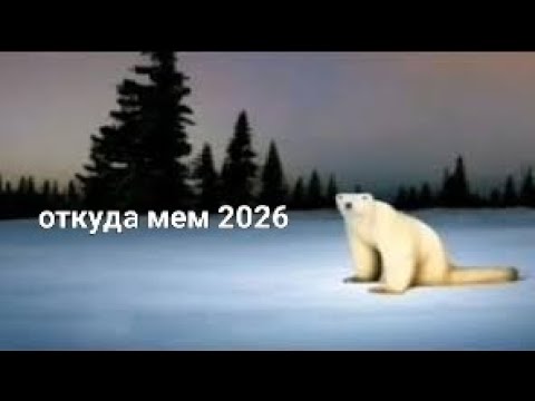 2026 YouTube 2026-youtube
