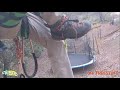 How to Use the Notch Jet Step with Jonathan Schwartz - TreeStuff Community Expert Video