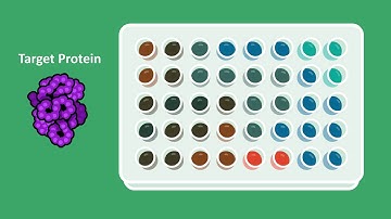 What are Morpholinos